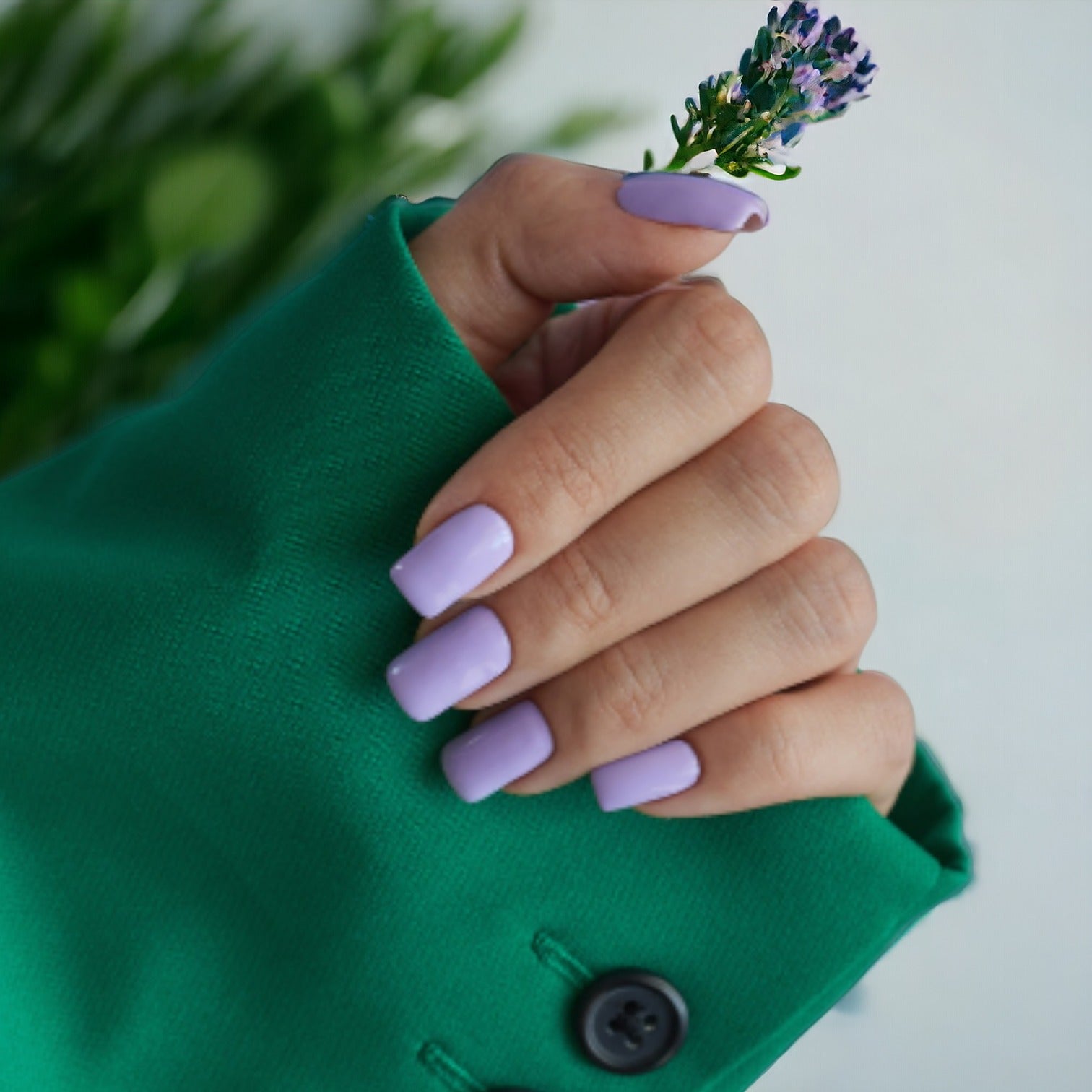 Lavendel Puder do Zanurzania