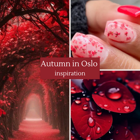 Autumn in Oslo Puder do Zanurzania